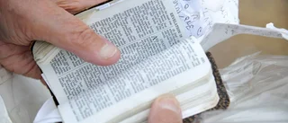 En kortare och mer lättläst bibel