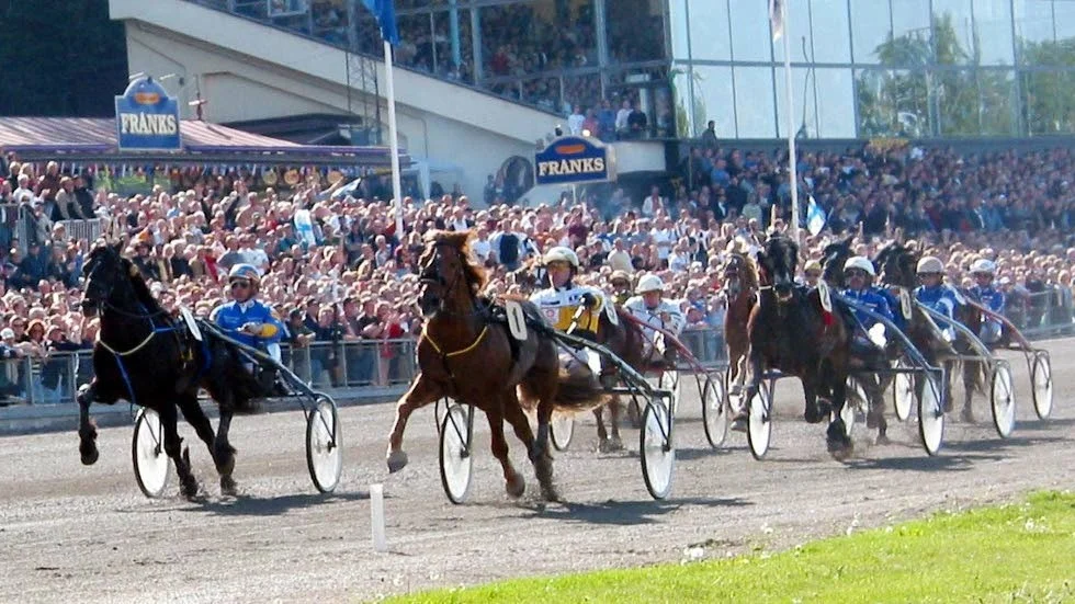 En känd travspelare från Piteå tog hem storkovan på V75. (Arkivbild)