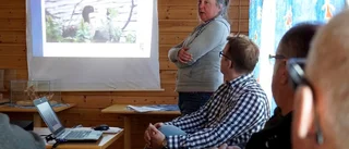 Så kan hotad fågel räddas