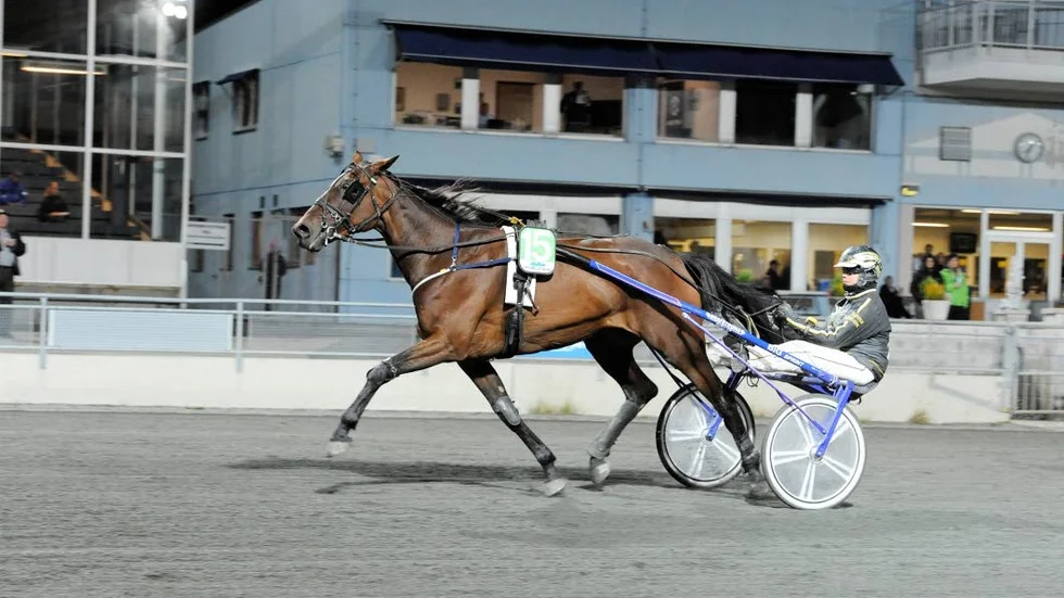 Vinnarduo. Hanna Olofsson bakom Rondine d'Asolo tog hem den första V64-avdelningen.