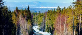 Fallet Linna: Här är bilfärden som kan fria den morddömde