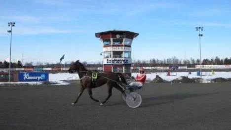 Umåkerproffset Jan Norberg vann tre av loppen på Skellefteåtravet i går. Bland segrarna sågs Manhattan D.K som avslutade V64-omgången.