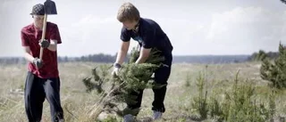 Färra unga erbjuds feriejobb