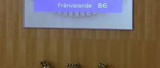 Ledare: Proffs eller amatörer?