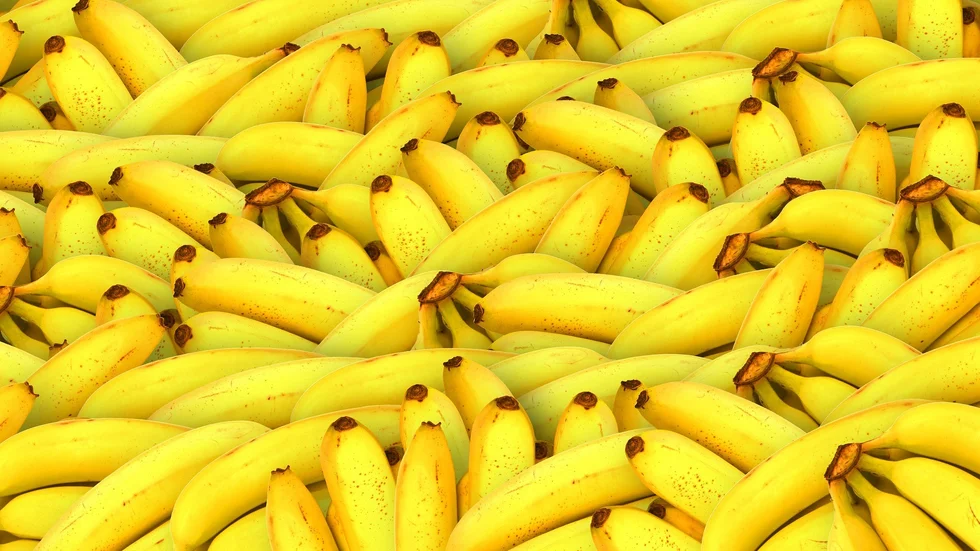 I bananmonarkin är alla politiska kullerbyttor en möjlighet.
