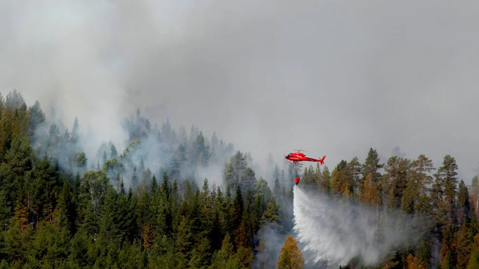 Skogsbrand som bekämpas med vattenbombning från helikopter.