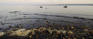 Östersjön kommer förvandlas till en insjö