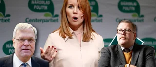 Därför har Annie Lööf medvind
