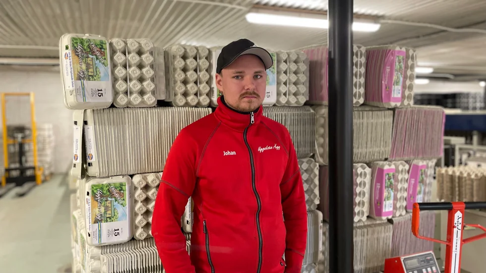Johan Tedenlind, 30, menar att en snabb förändring krävs för att äggproducenterna ska vilja fortsätta med sina verksamheter.