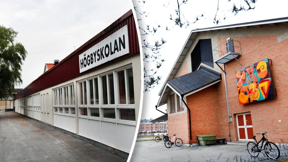 En ny undersökning visar att det är en stor skillnad på utbildning och härkomst mellan de gotländska skolorna.