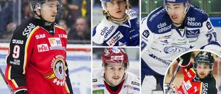 Hockeyallsvenska finalen delar Luleå