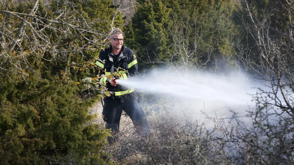 Räddningstjänsten drog slangar i området, som bestod av torra enbuskar och gräs, för att komma åt att släcka bränderna som blossade upp då och då i vinden.