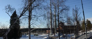 Inget Hybrit utan mer elkraft 