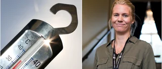 Företagsklimatet i Vingåker bättre än på 15 år: "Visar att vi är på rätt väg"