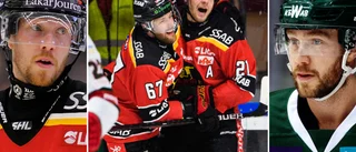 Tidigare Luleå- och Färjestadsspelaren inför finalen: "Deras kedja måste leverera om de ska ha en chans"