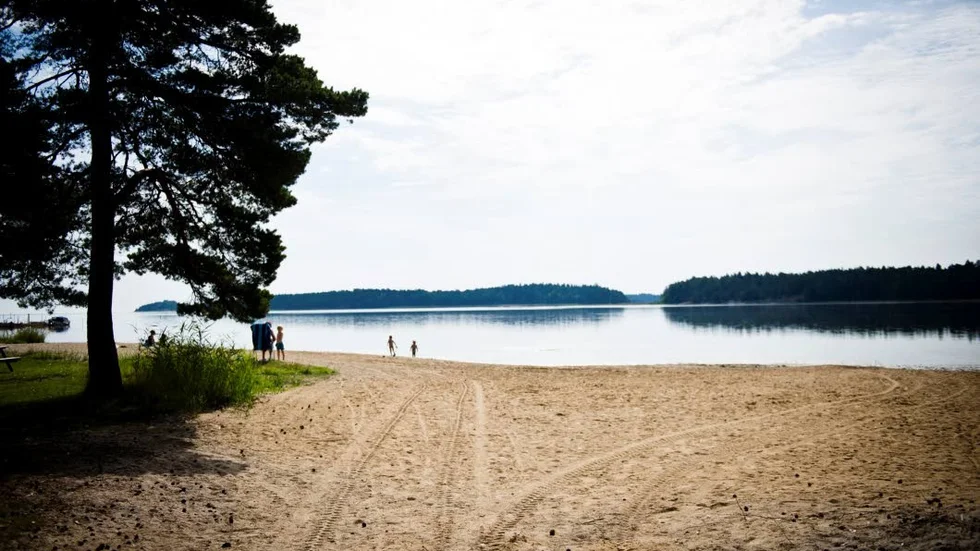 Kommunen tar prover vid Strandstuvikens bad var fjortonde dag och kollar om det förekommer algblomning.