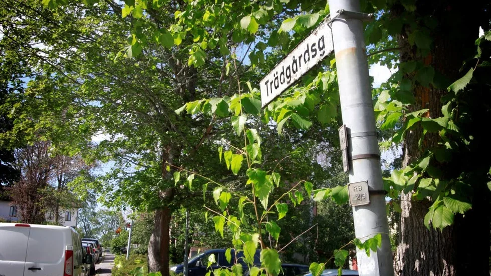 Mordförsöket ska ha skett i närheten av Trädgårdsgatan i centrala Flen.