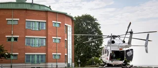 Vård av bistick får kritik av Ivo