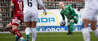 PIF-målvakten är en av allsvenskans bästa: "Vass på det mesta och har en bra målvaktsaura"
