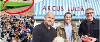 Ingen lösning i sikte för fyndmarknaden: "Hela vår idé bygger på Arcushallen" • Täckgolv inte ett alternativ
