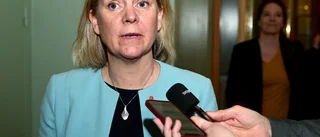 Att beslut i Nato frågan brådskar är självförvållat