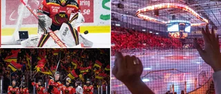 Quiz: Testa dina Luleå Hockey-kunskaper