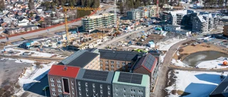 Statliga investeringsstödet fungerade