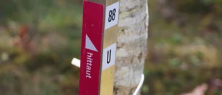 Så många lockas av Hitta ut i Motala och Borensberg: "Över hälften är kvinnor"