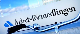 Så spås arbetsmarknaden se ut i sommar på ön