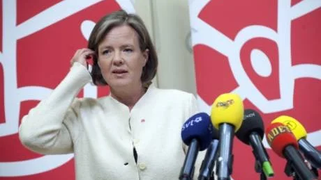 Carin Jämtin och VU jobbar nu hårt för att ha en ny partiledare klar till på fredag.