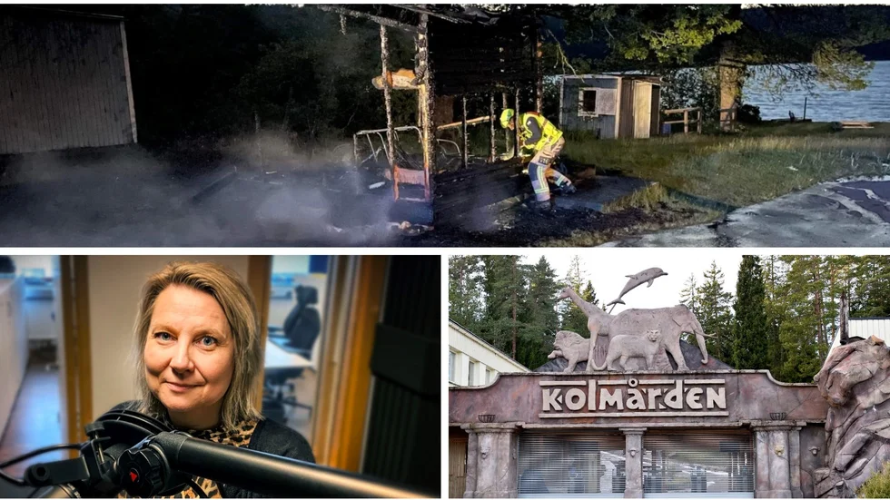 Efter de två bränderna agerar Kolmårdens djurpark.
