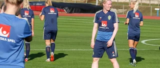 VM-hjältarna har landat på Gotland