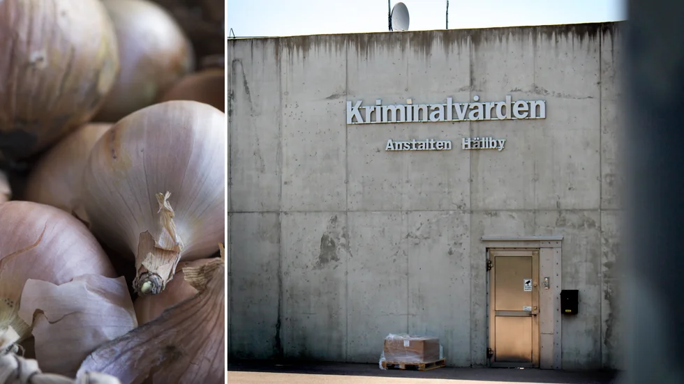 Hällbyanstalten har JO-anmälts. Anledningen: Lök i maten.