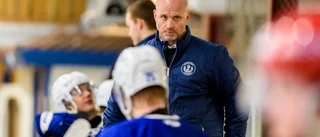 Brithén klar som ny tränare i Vita Hästen