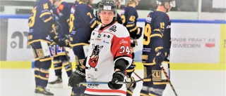 Sudretprodukten återvänder till gotländsk ishockey: "En av spelarna vi vill bygga laget kring"