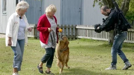 Bra tips. Svt är på Gotland för att spela in fem avsnitt av programmet Go´kvälls Hundskola. Här får Anette Rudelius i Visby hjälp med sin hund av hundexperten Barbro Börjesson. Allt medan fotografen Oskar Boström filmar.Foto: Ulf Glimfalk