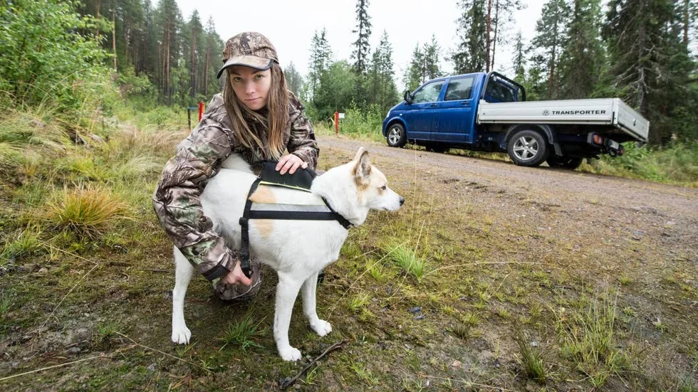 Filmstjärna. "Vill du se en stjärna, se på mig". Hunden Bella har långfilmserfarenhet. I den kommande tv-serien Jägarna har hon rollen som  Erik Bäckströs (Rolf Lassgård) hund.