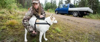 "Jägarnas" nya filmstjärna – Bella
