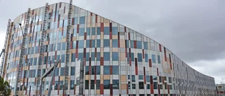 Därför är grästaket inte grönt