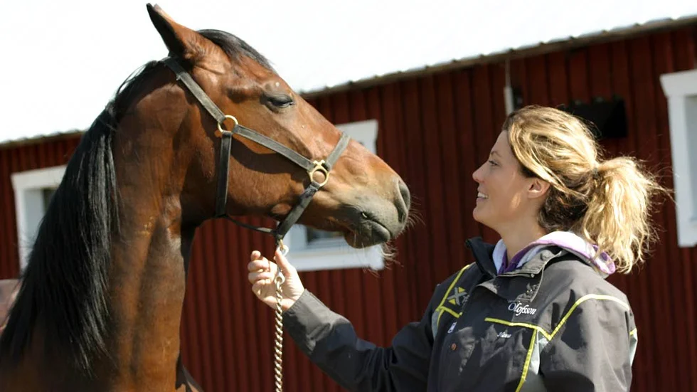 Fin form. Bodentränaren Hanna Olofsson har haft ännu en fin säsong och redan för någon månad sedan passerade stallets hästar miljonen i insprungna kronor.