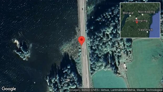 Älg på vägen