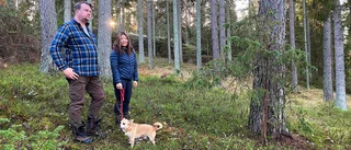 Skogen som skulle betala för gården får inte tas ner • "Som att vi blir fråntagna rätten till vår egen mark"