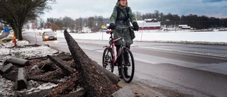 Cykelbanan totalförstörd efter plogning – Ewa tvingas ut på bilvägen istället: "Det ser ut som en krigszon"