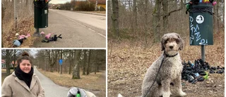 Ilska när bajstunnor svämmar över: "Pinsamt"