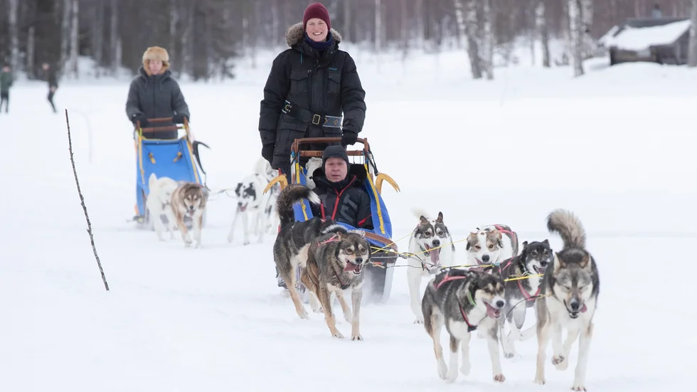 Holländska Sanne Kouwenhoven, 30, har bott i den lilla byn Krokträsk i Luleå kommuns norra del i cirka fem år. I dag driver hon turistverksamheten med 33 huskies. 
