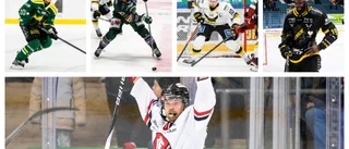 Stora tipset – så slutar spurten i hockeyallsvenskan