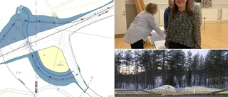 Farlig skoterpassage ersätts med sommarled under E4
