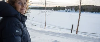 Mariebergs viltfarm tillbaka i ny regi