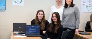 Elever får marknadsföra Piteå och byarna