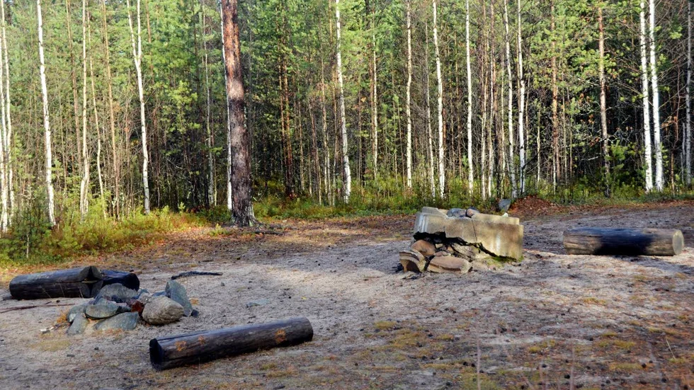 ELLJUSSPÅR ÖNSKAS. I skogen på Rammelberget i Kalix finns motionsmöjligheter, men vägen dit är krånglig och framför allt saknas elljus, skriver insändarskribenten.